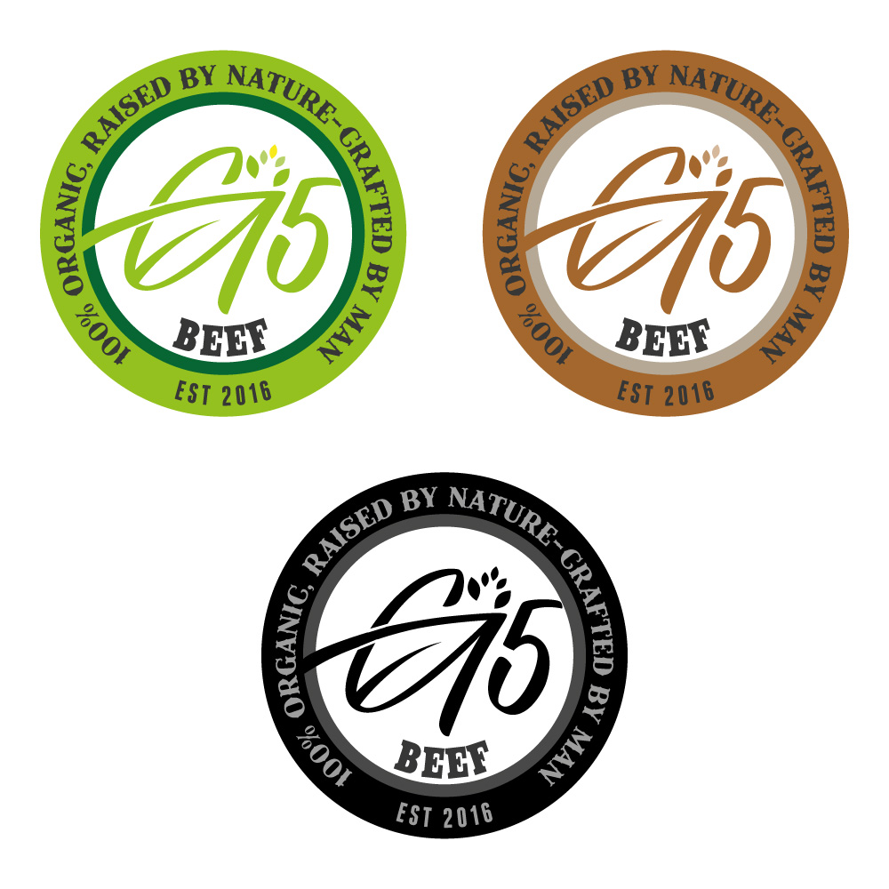 {0} by {1} for this project | Design #{2}[FORMAT EXCEPTION]