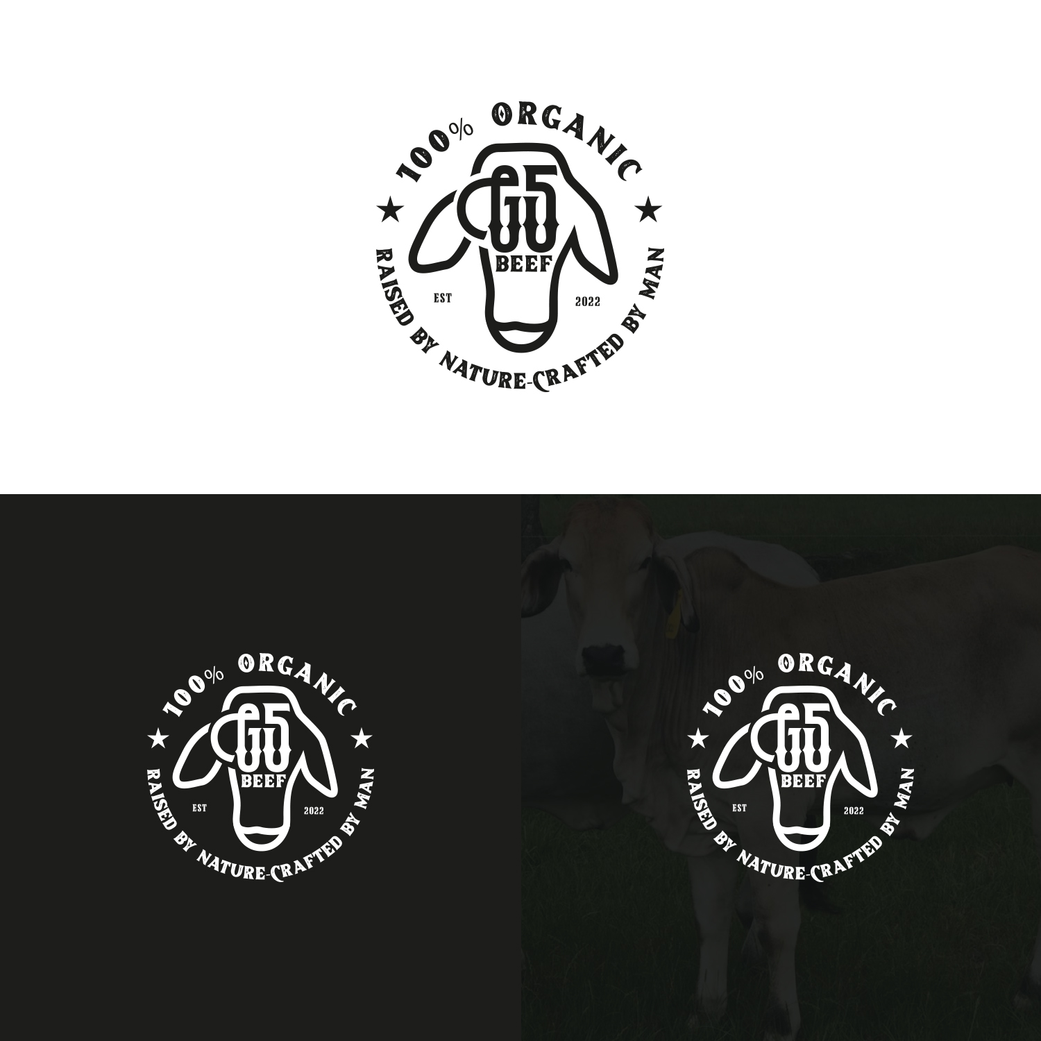 Design de Logo par Maxo-Biz pour ce projet | Design #29469656