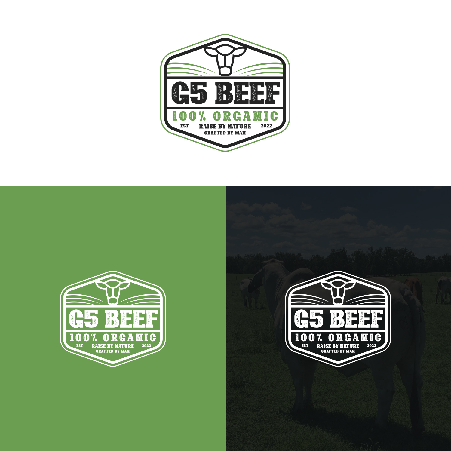 Logo Design by Maxo-Biz for this project | Design #29469657