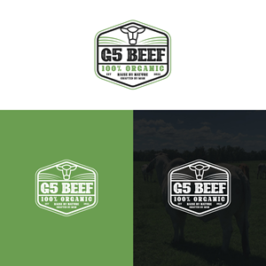 Logo Design by Maxo-Biz for this project | Design: #29469657