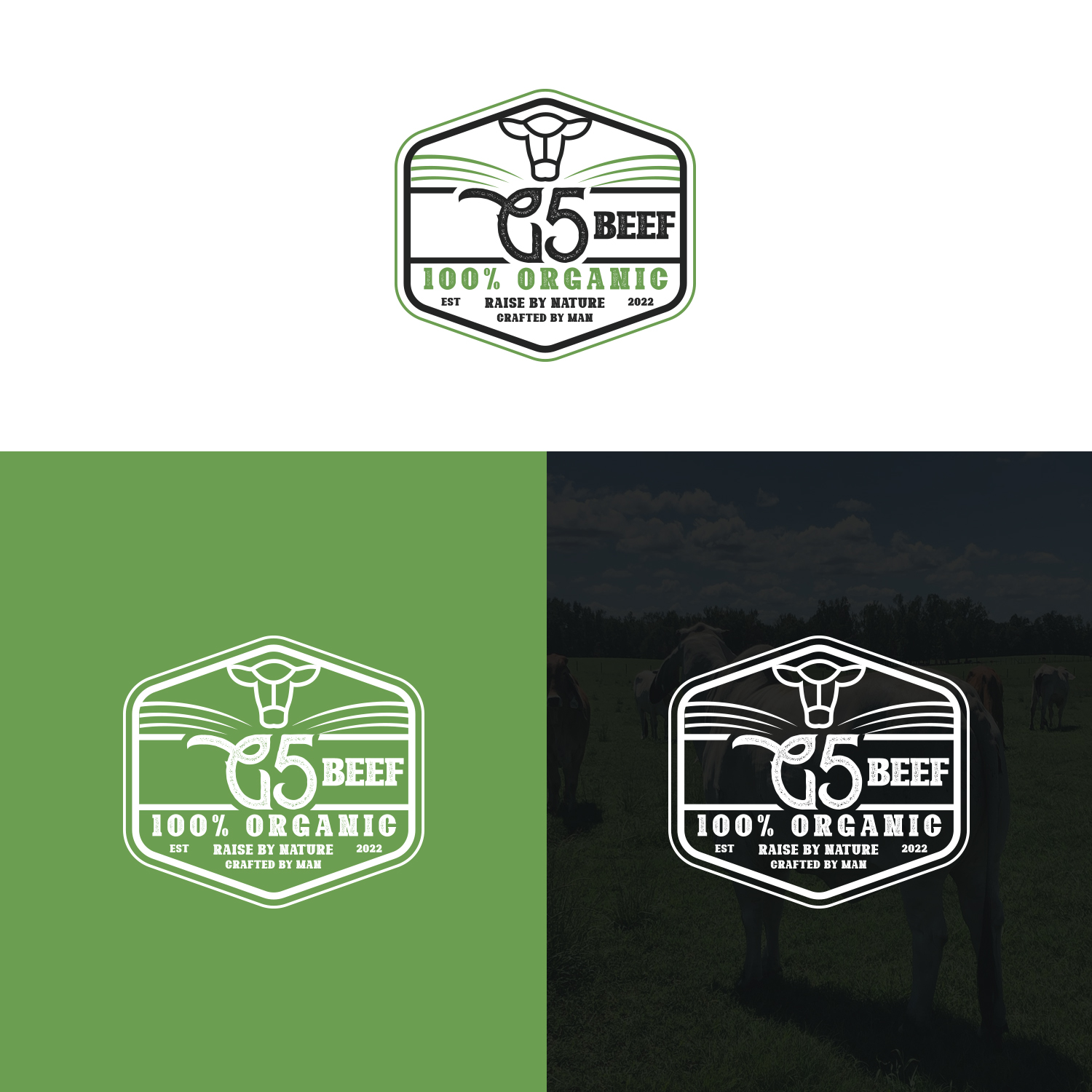 Logo Design by Maxo-Biz for this project | Design #29479320