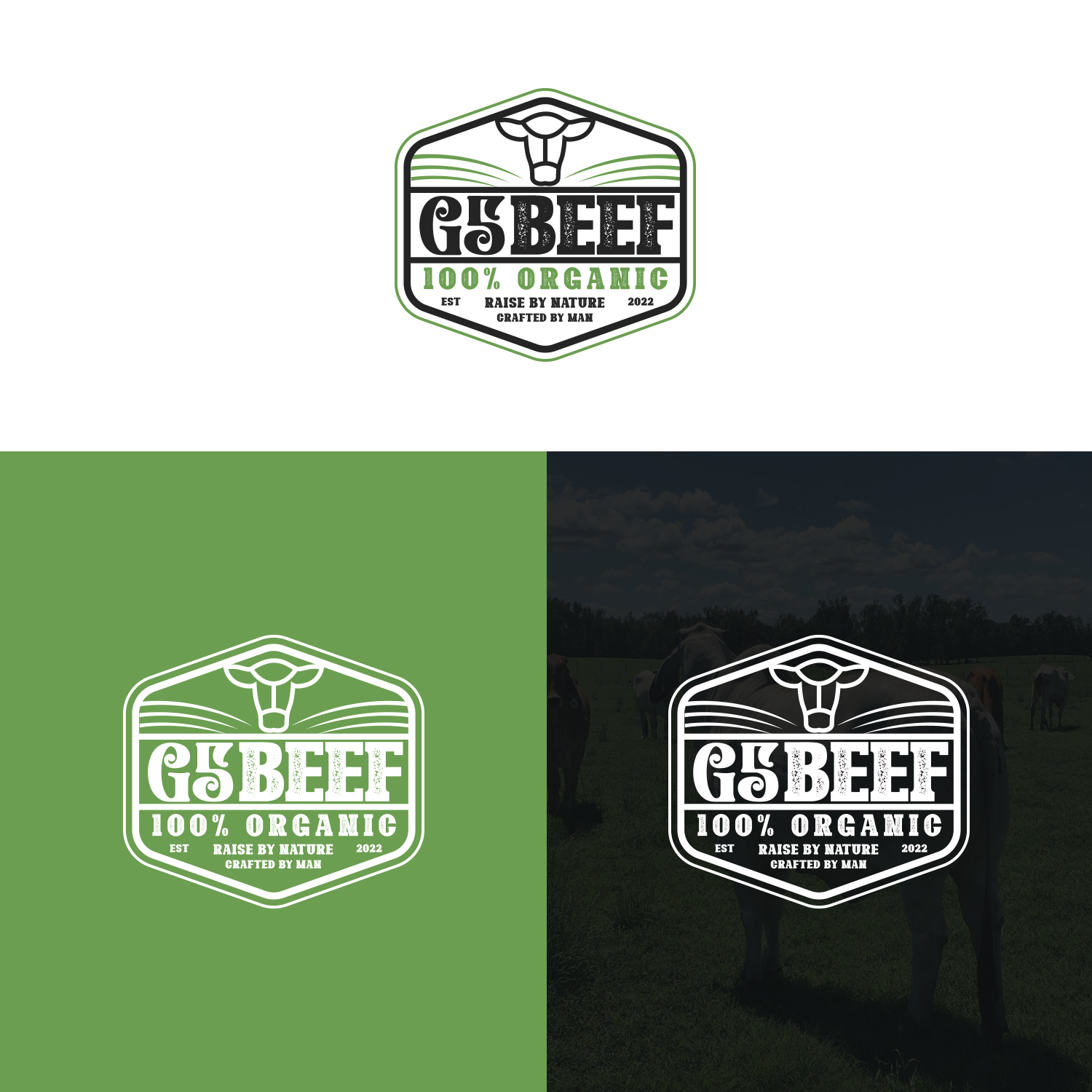 Logo Design by Maxo-Biz for this project | Design #29479324
