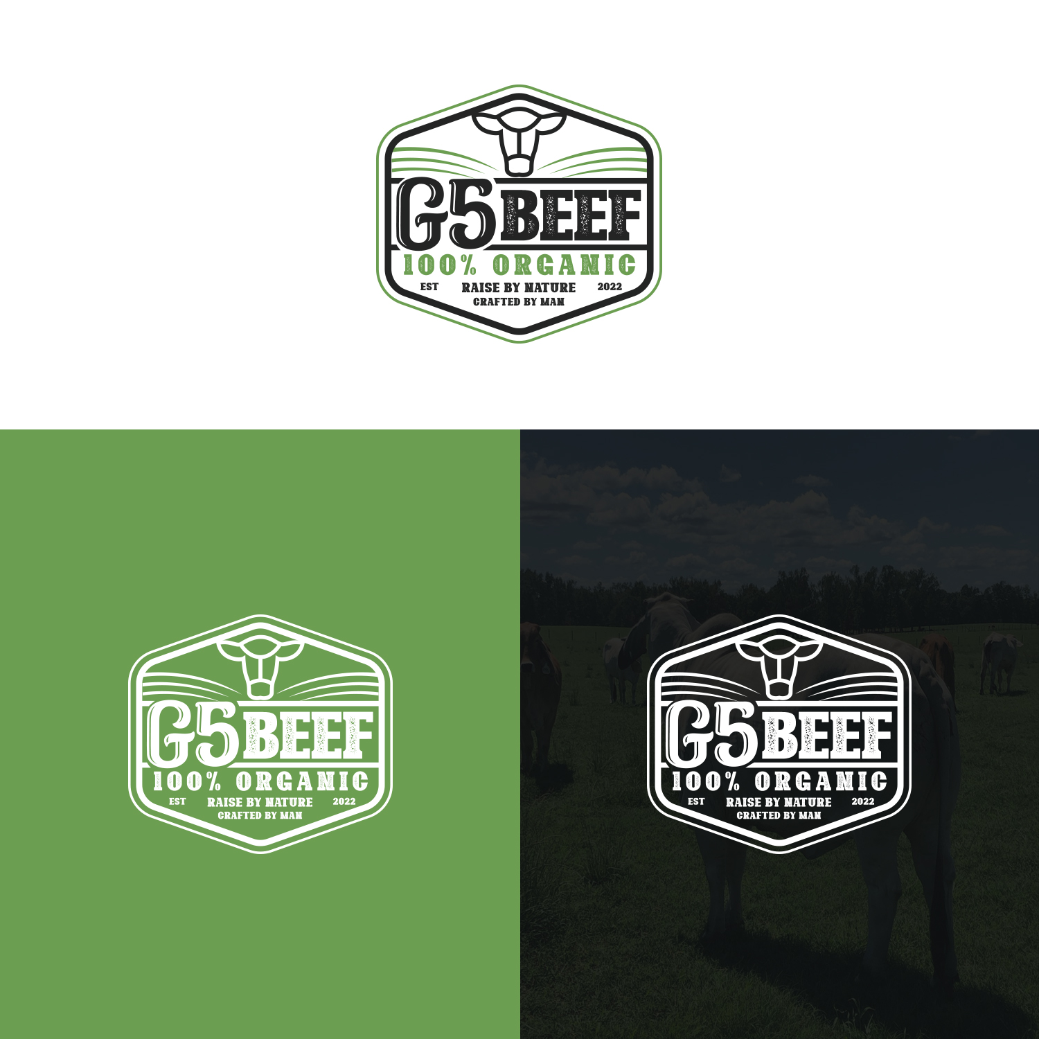 Logo Design by Maxo-Biz for this project | Design #29479325