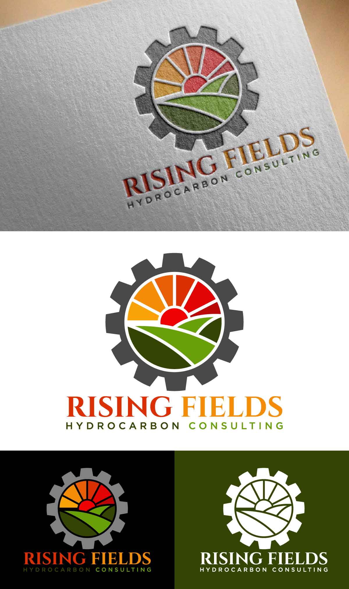 Logo-Design von fly  design für Rising Fields Hydrocarbon Consulting | Design #29465883