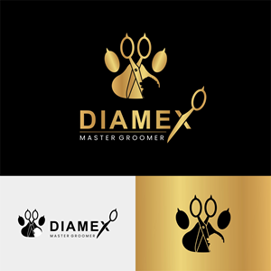 Logo Design by Chupter