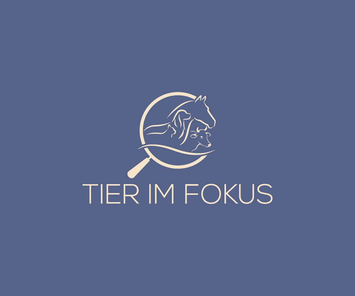 Logo-Design von ismail islam für dieses Projekt | Design #29471423
