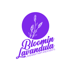 Logo Design by Onesis Studio
