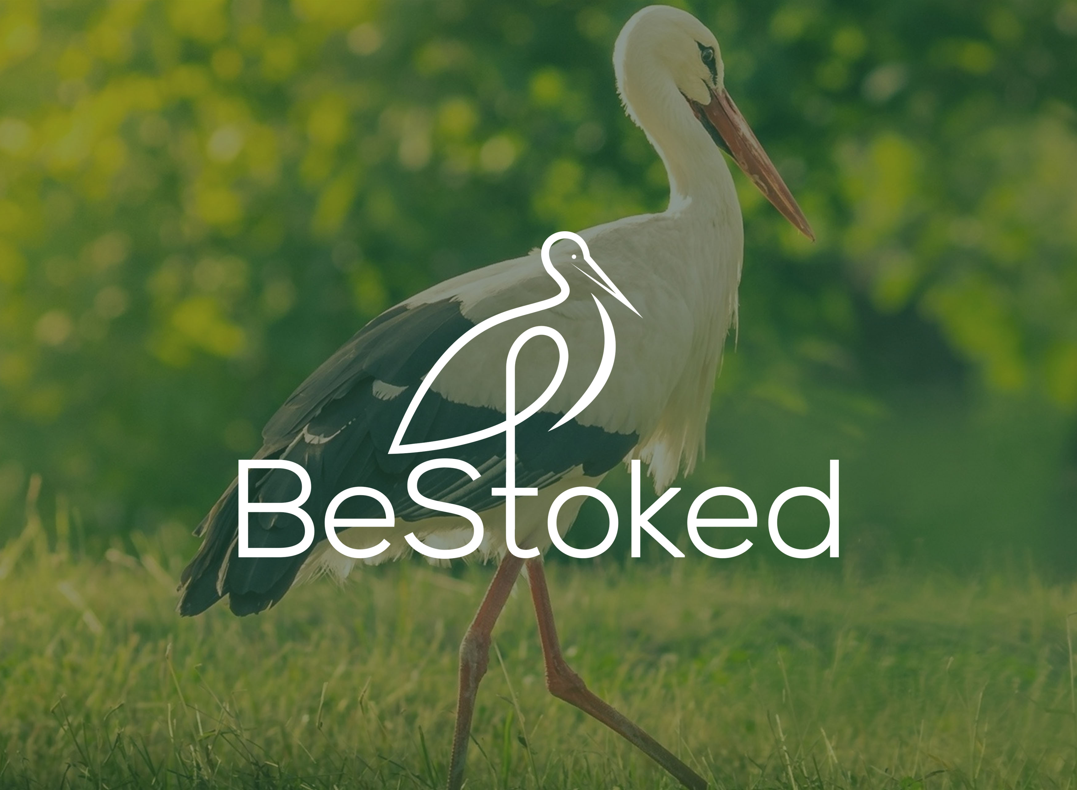 Logo Design by aexoagency for this project | Design #29499673