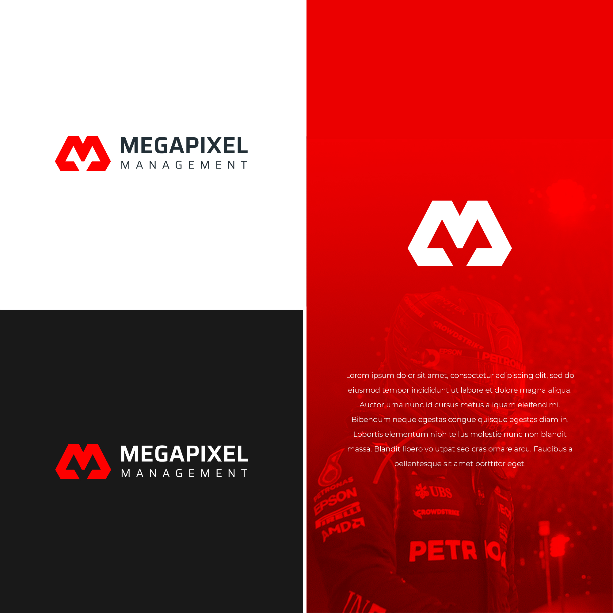 Logo Design by ibart for this project | Design #29511457