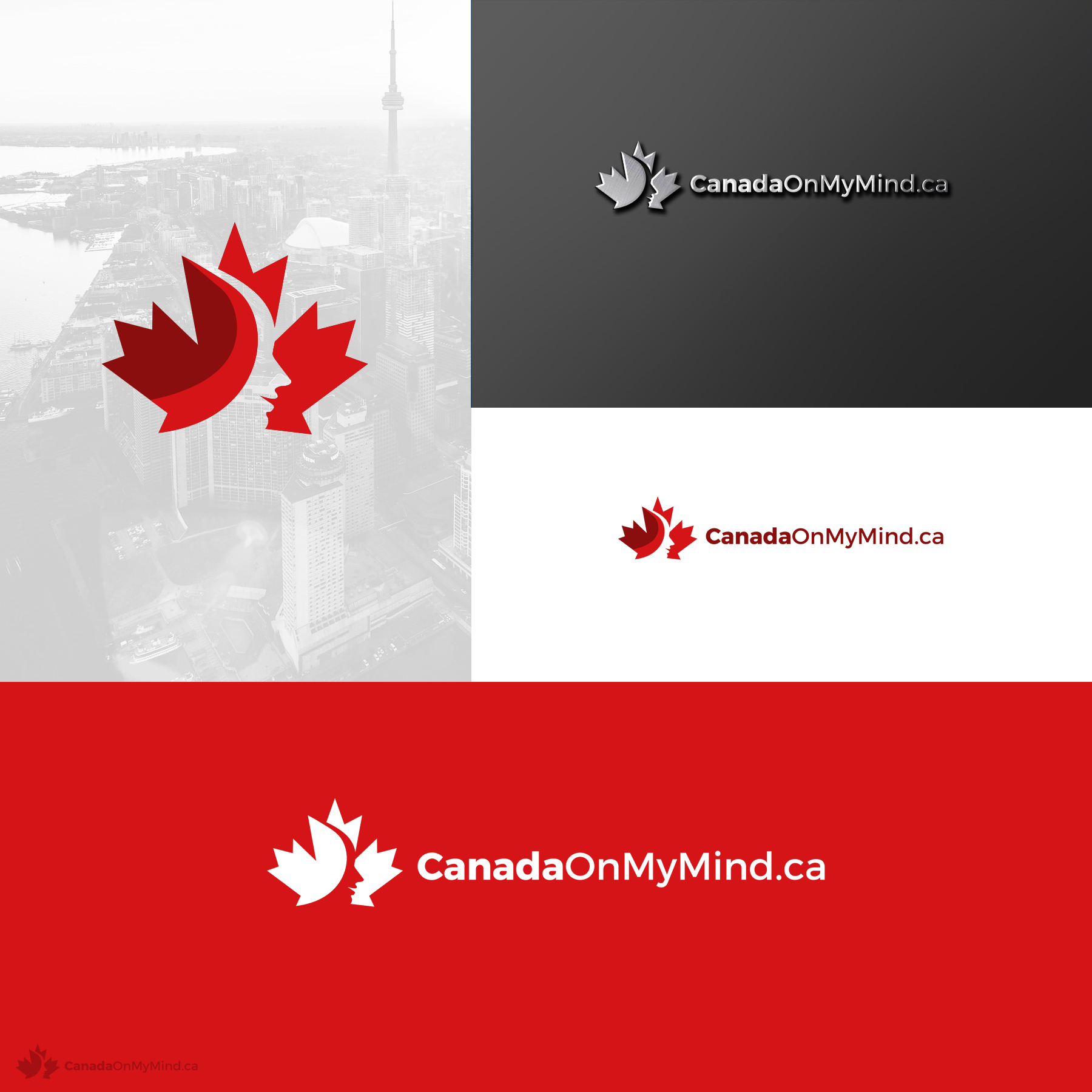 Design de Logo par Avartde pour Nordic Spa 4 Rent | Design #29477736