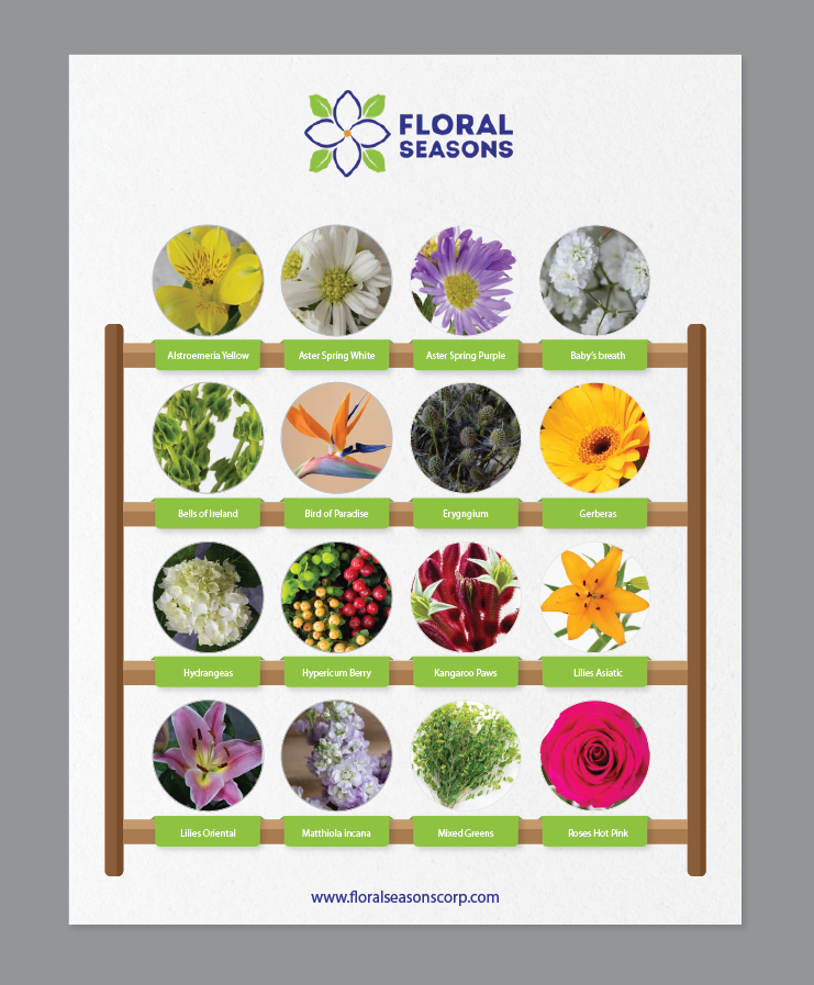 Infographic Design by alex989 for Floral Seasons Corp | Design #29484651