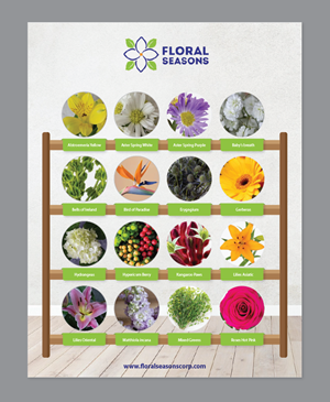 Infographic Design by alex989 for Floral Seasons Corp | Design: #29484652
