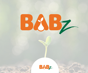 Logo Design by logoarts for BuyBabz | Design: #29487363