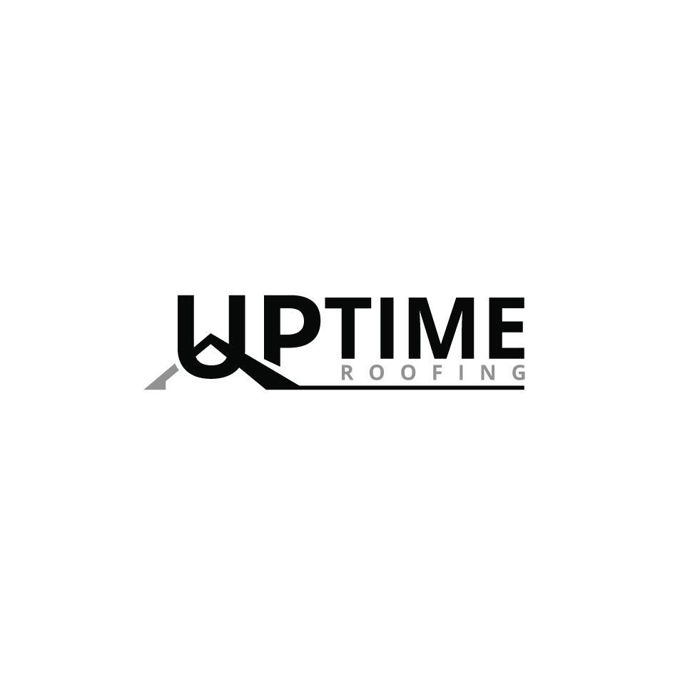 Logo Design by aneesh vs for this project | Design #29487496