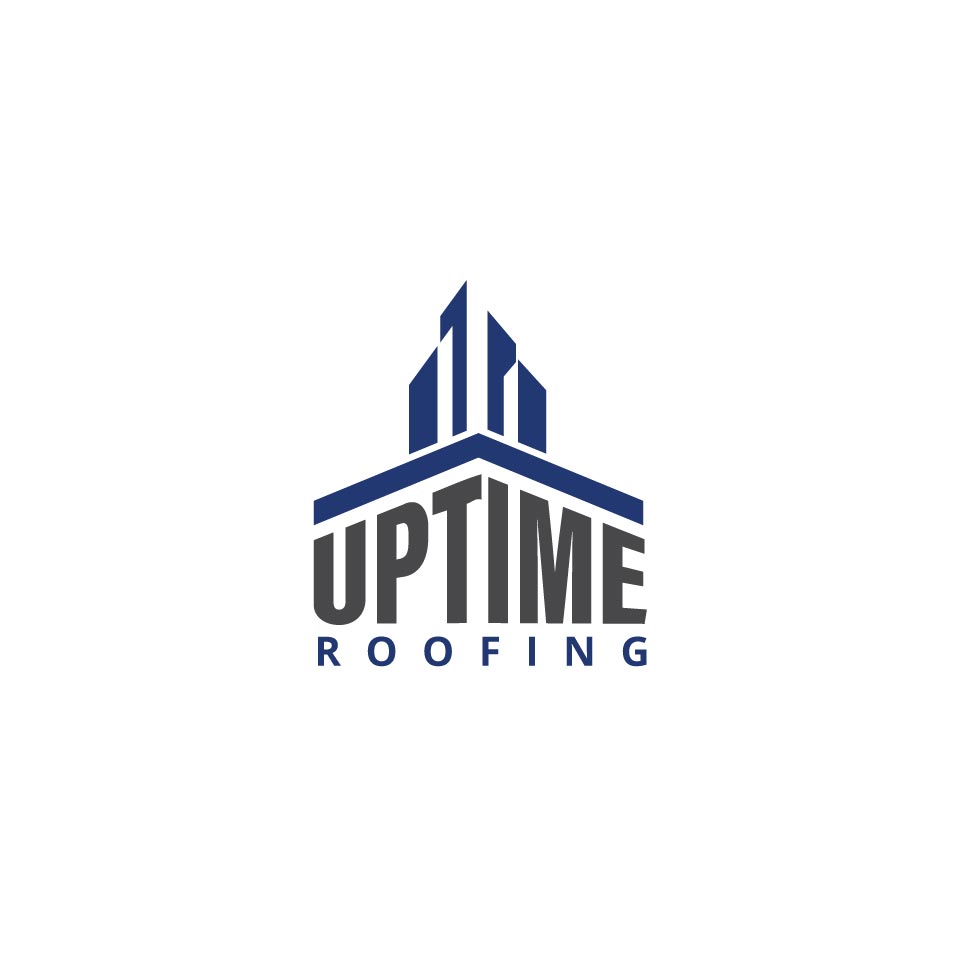 Diseño de Logo por aneesh vs para este proyecto | Diseño #29494068