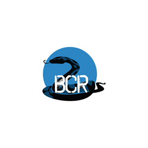 Logo Design by Jhannel55 for this project | Design #29564351