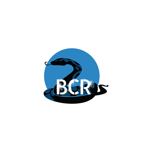 Diseño de Logo por Jhannel55 para este proyecto | Diseño: #29564356