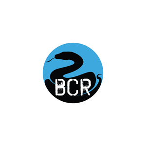 Logo Design by JohnnyCactus