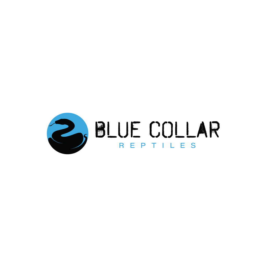 Logo Design by JohnnyCactus for this project | Design #29495756