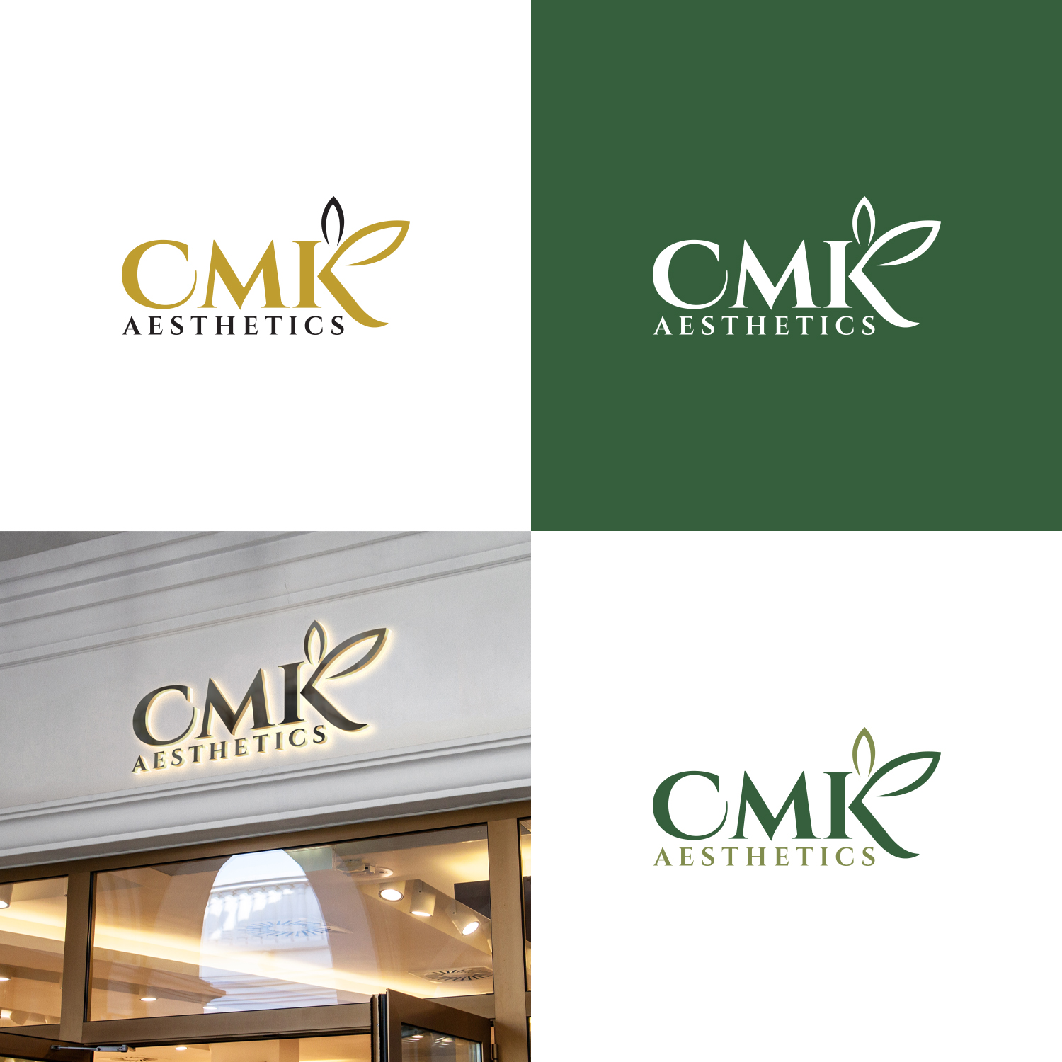 Logo-Design von Maxo-Biz für dieses Projekt | Design #29524177