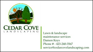 Diseño de Tarjeta de Presentación por LD para este proyecto | Diseño: #29520642