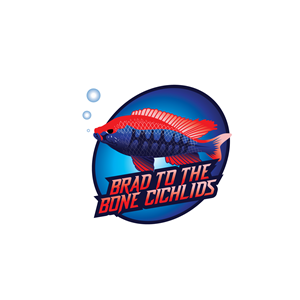 Design de Logo par geni pour ce projet | Design #29513995