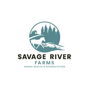 Logo Design by Jhannel55 for this project | Design: #29660094