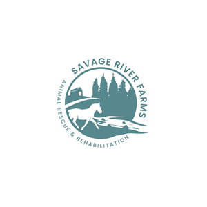 Logo Design by Jhannel55 for this project | Design: #29660095