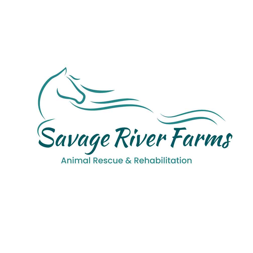 Logo Design by Franabanana for this project | Design #29605131