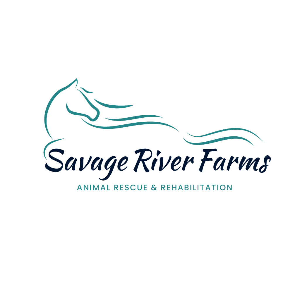 Logo Design by Franabanana for this project | Design #29605182