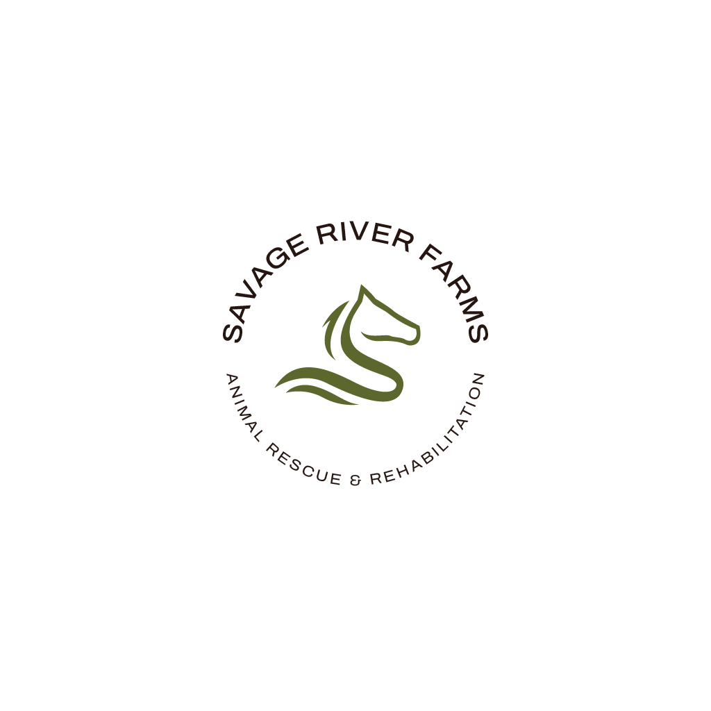 Logo Design by Jerwin Intac for this project | Design #29515454