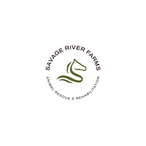 Logo Design by Jerwin Intac for this project | Design: #29515454