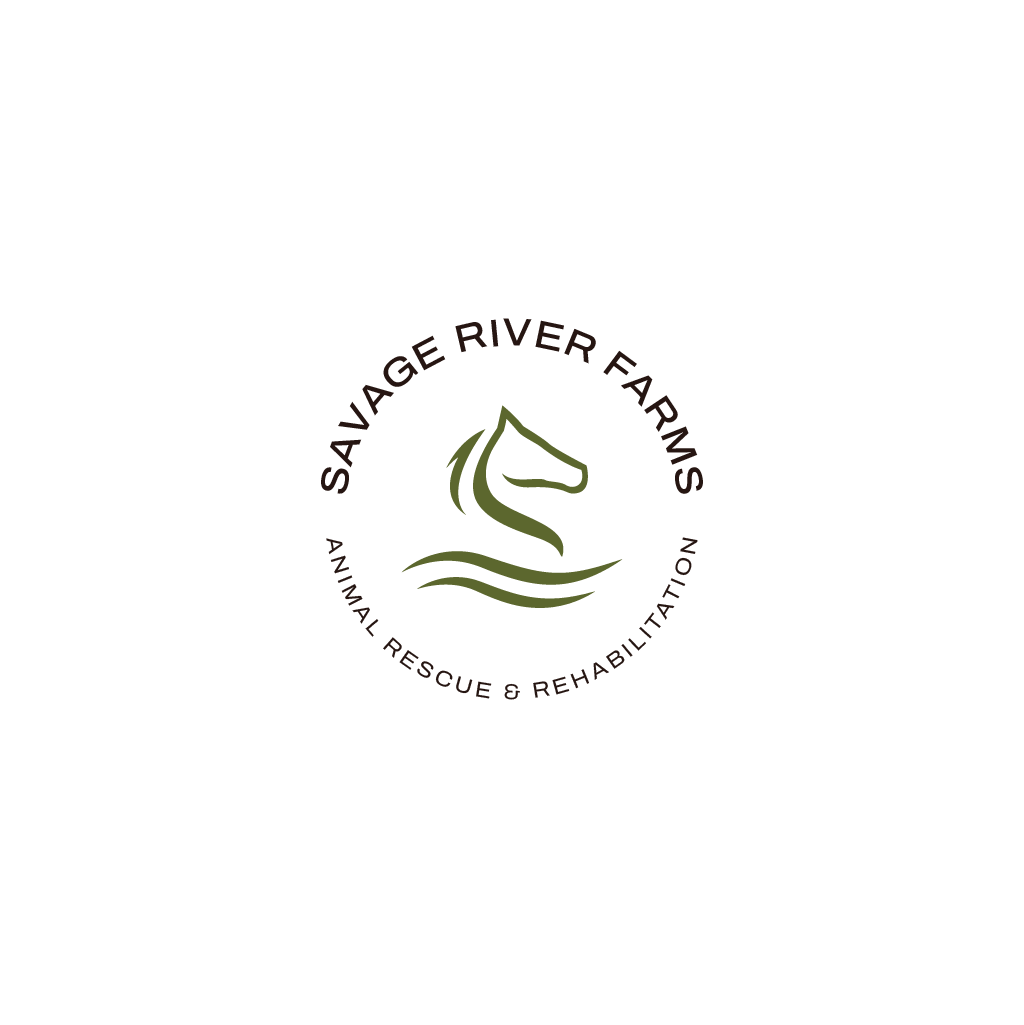 Logo Design by Jerwin Intac for this project | Design #29521948