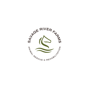 Logo Design by Jerwin Intac for this project | Design: #29521948