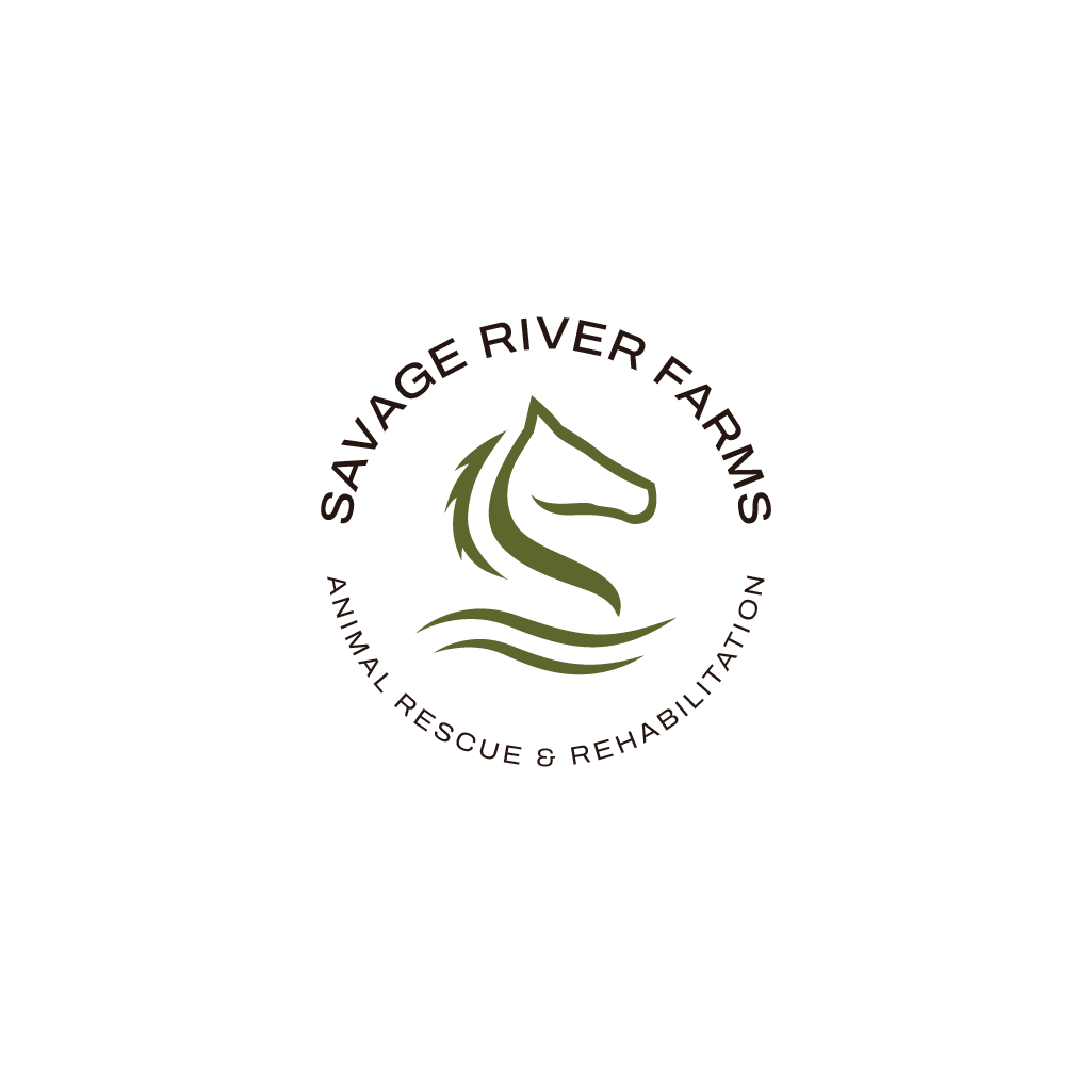 Logo Design by Jerwin Intac for this project | Design #29600118