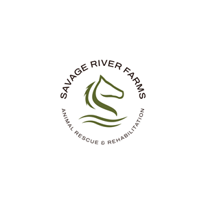 Logo Design by Jerwin Intac