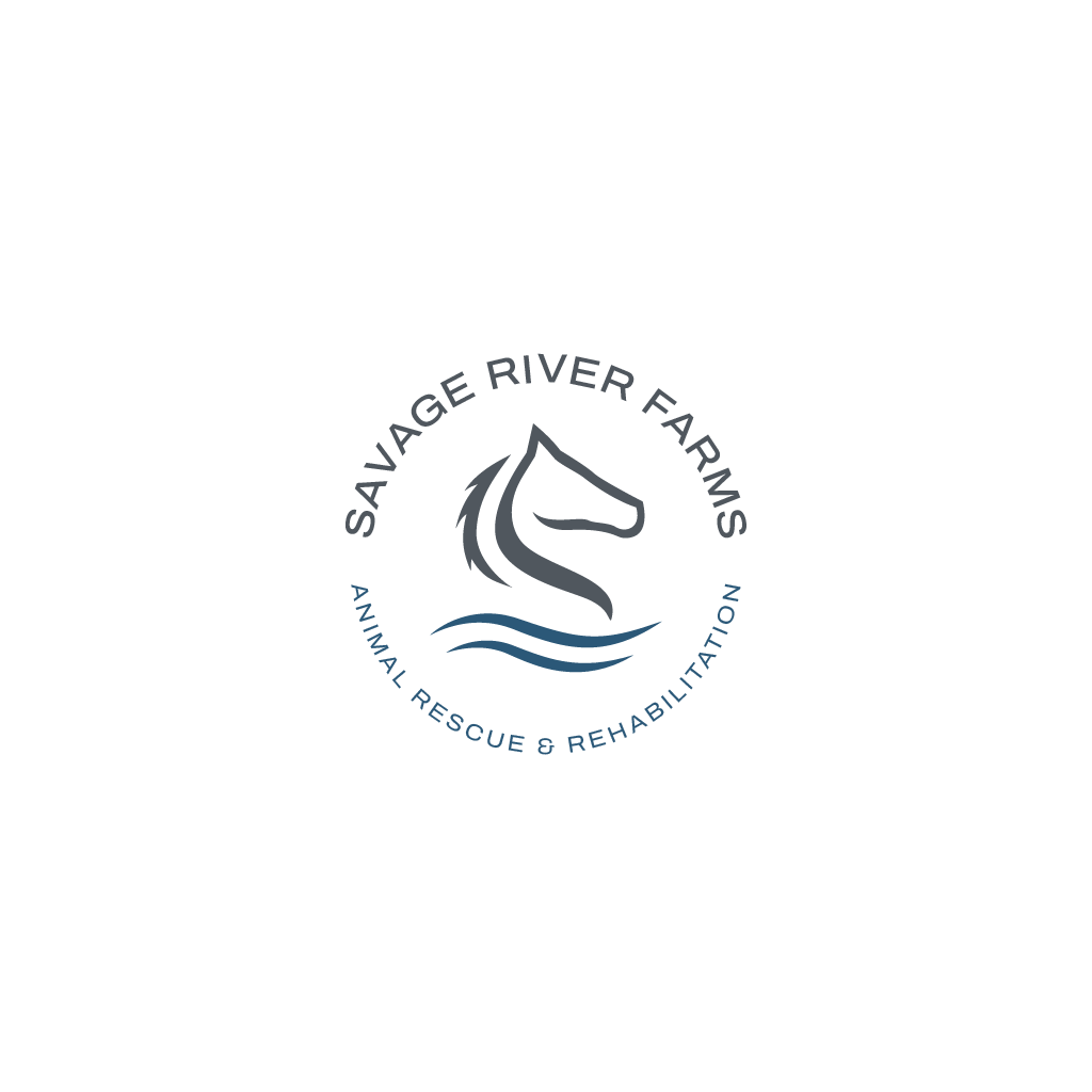 Logo Design by Jerwin Intac for this project | Design #29671059