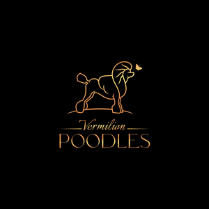 Logo Design by Ashani Bhattacharya for Vermilion Poodles | Design #29522366