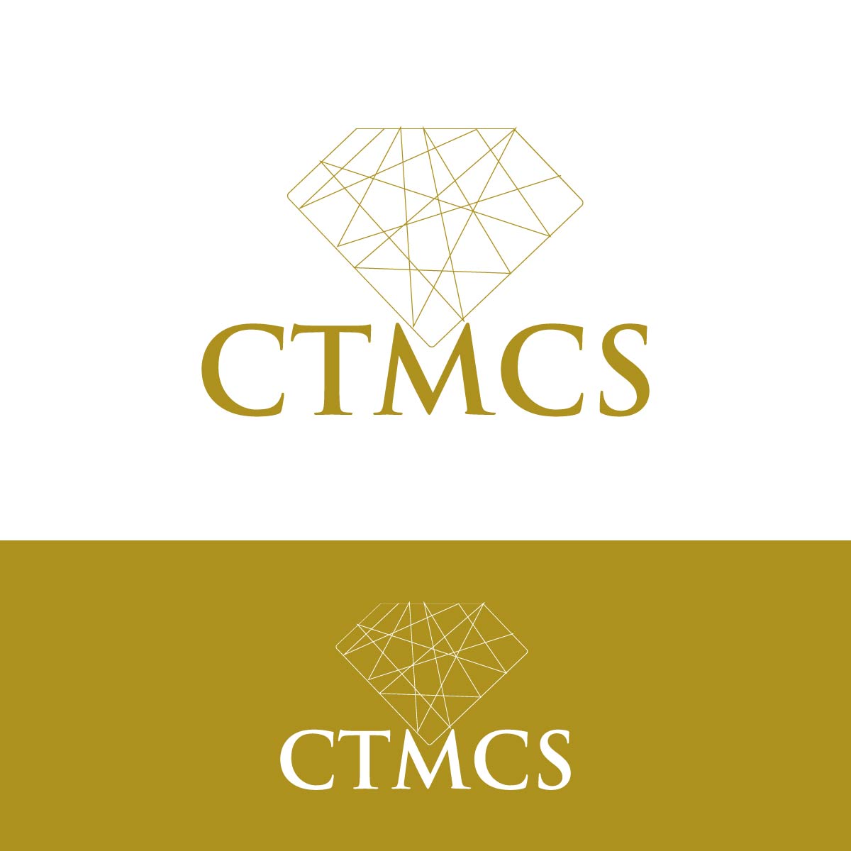 Logo Design by fly  design for this project | Design #29518437