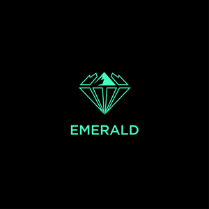 Logo Design by Nida Owais
