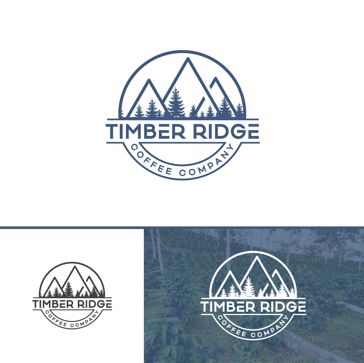 Design de Logo par ashantha pour ce projet | Design #29548196