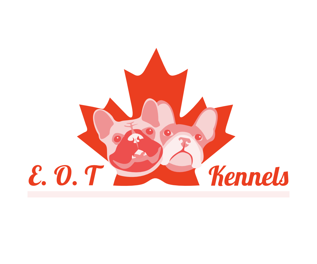 Logo Design by VeronicaK for this project | Design #29527999