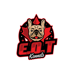 Logo Design by brand maker for this project | Design: #29519986