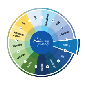 Graphic Design by StromDesignHub