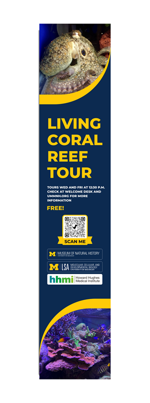 Advertisement Design by ecorokerz for Howard Hughes Medical Institute | Design: #29606818
