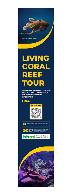 Advertisement Design by ecorokerz for Howard Hughes Medical Institute | Design: #29611733