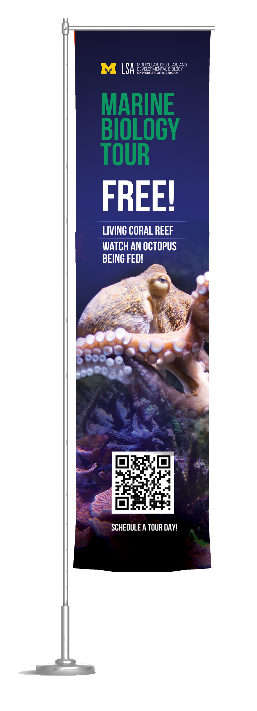 Advertisement Design by IG Creative Solutions for Howard Hughes Medical Institute | Design #29521063