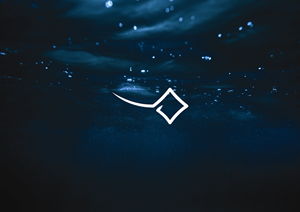 Logo Design by redthelogoguy for this project | Design: #29520028