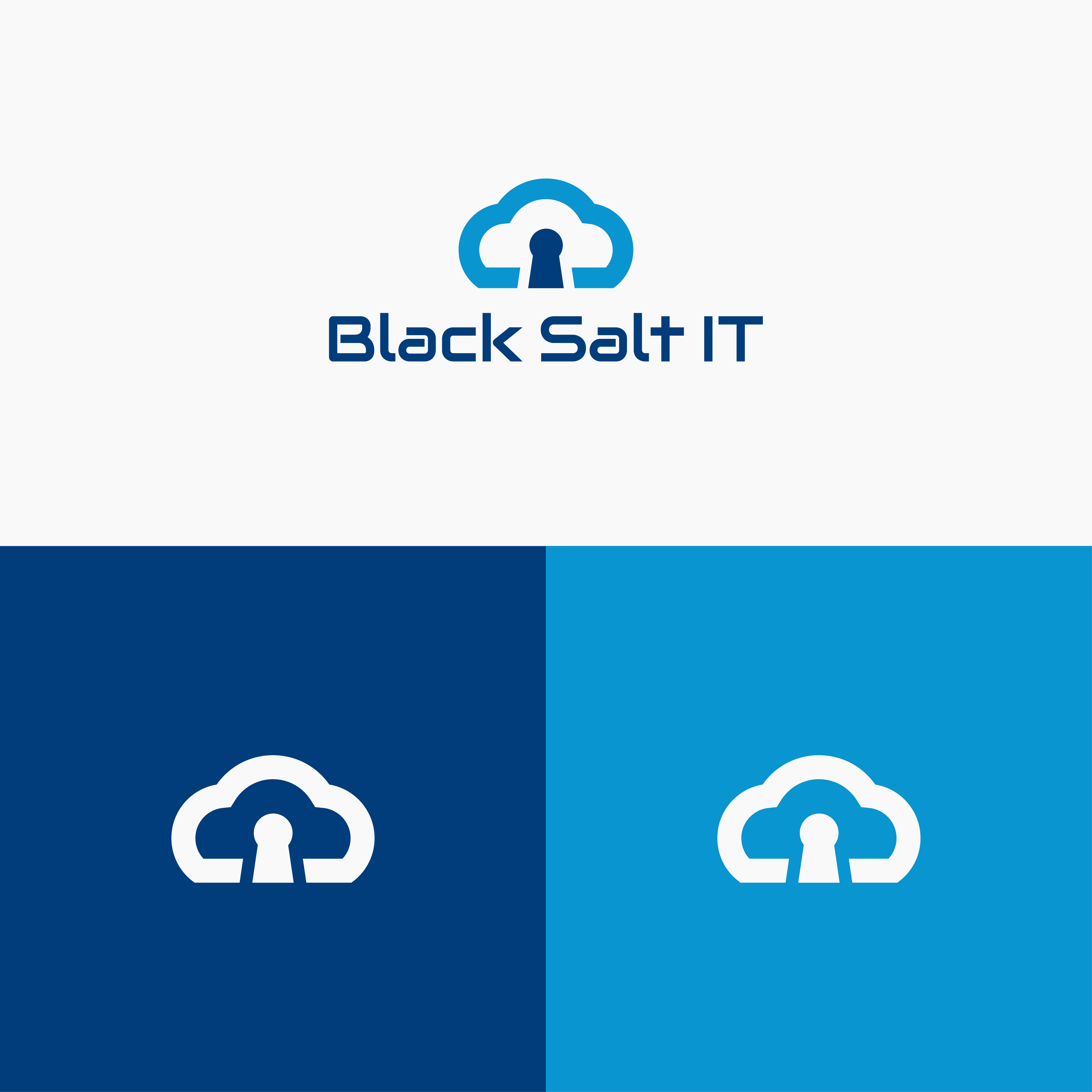 Logo Design by ZB Art for Black Salt IT | Design #29538134