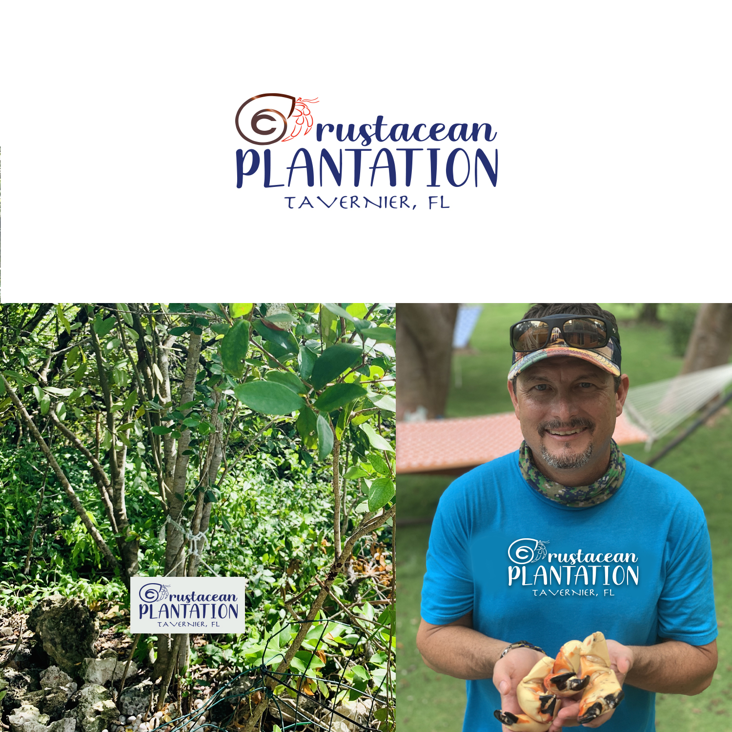 Logo-Design von Maxo-Biz für Crustacean Plantation | Design #29560440